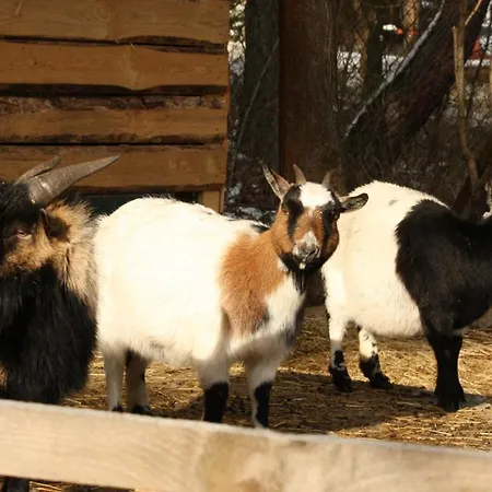 럭셔리텐트 Glamping *