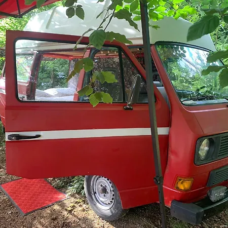 Glamping 럭셔리텐트 *