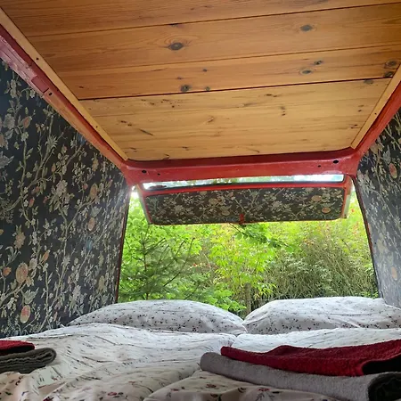 Glamping *