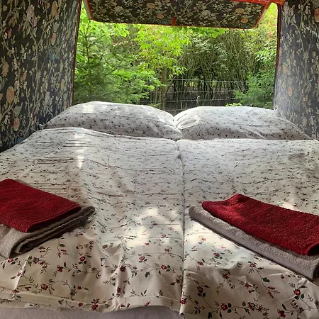 Glamping ラグジュアリーテント *