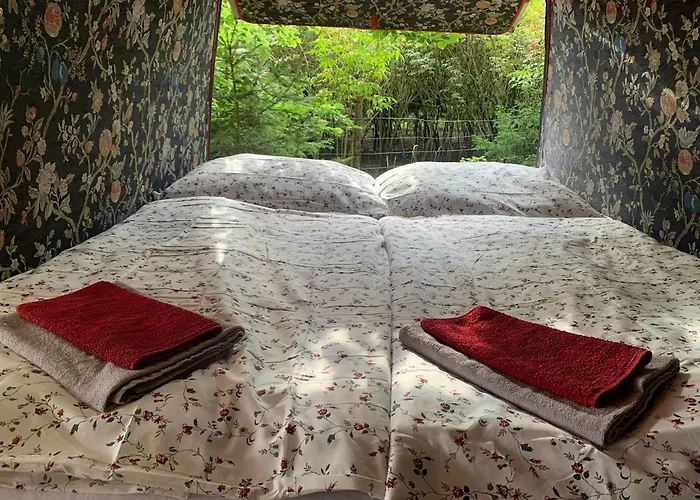 Glamping Glamping *